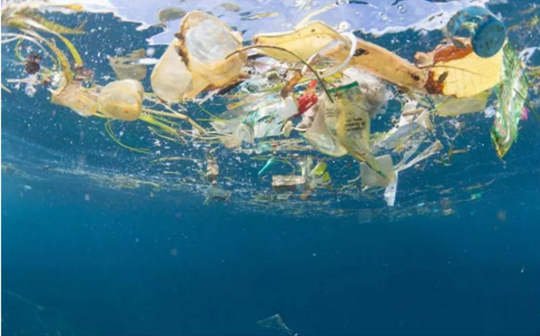 新AI算法能监测全球海洋塑料垃圾 局部区域准确率达到了100%