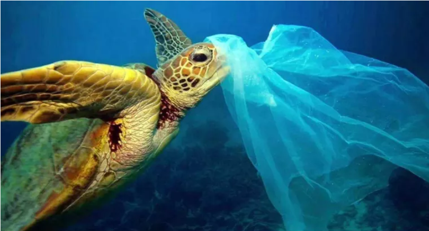 新冠流行成为人们大量使用塑料袋的理由！这将对环境造成巨大伤害