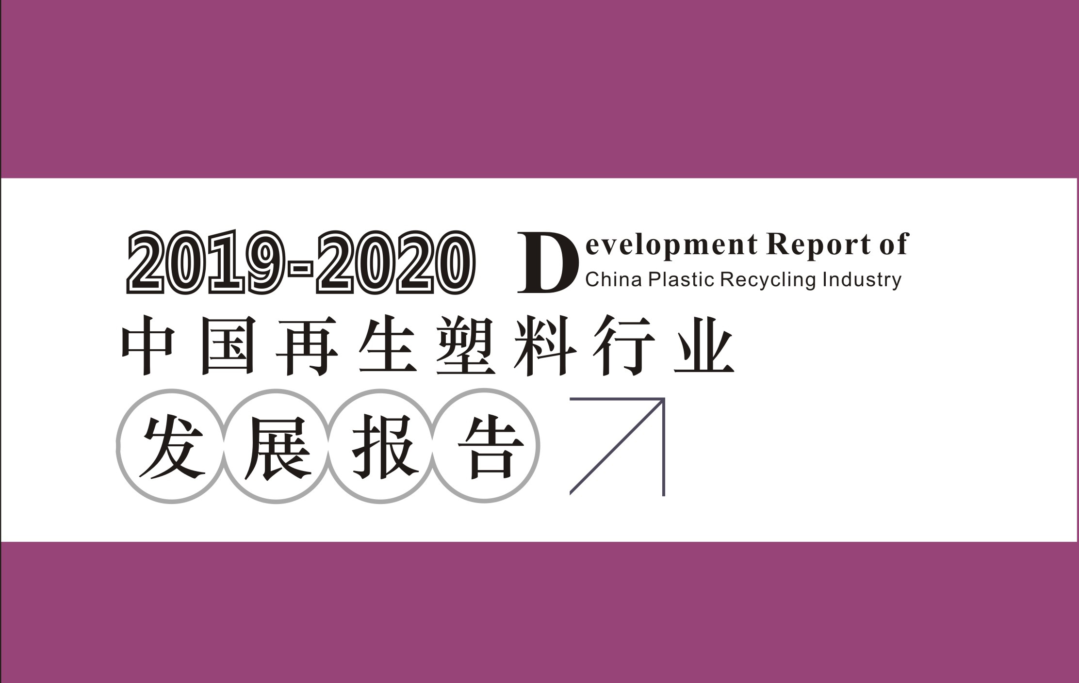 发展报告2019-2020