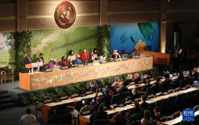 第五届联合国环境大会续会开幕 会议聚焦塑料污染